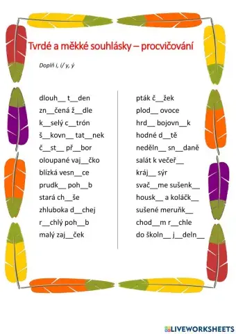 Tvrdé a měkké souhlásky - procvičování