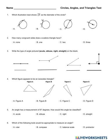 Triangle,Circle, Angle Test