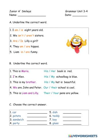 Smileys Junior A' Module 2