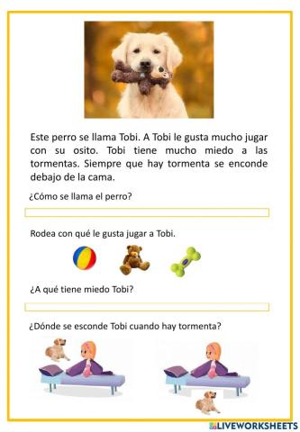 Comprensión lectora sencilla de párrafo