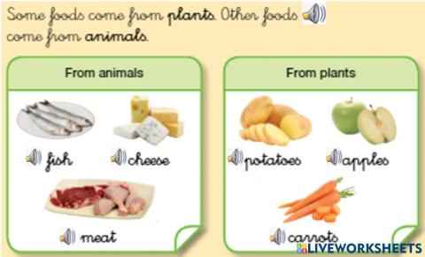 Where do foods come from?