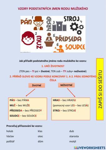 Vzory podstatných jmen rodu mužského