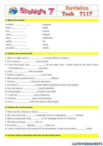 Spotlight 7 Task 7117