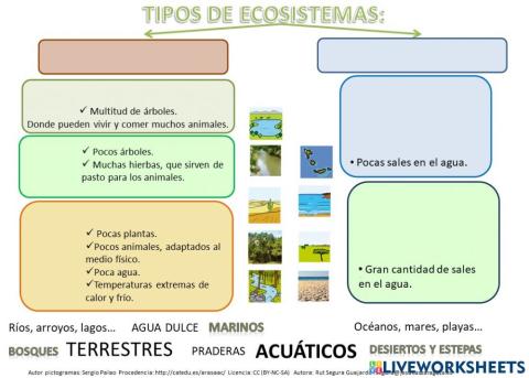 Ecosistemas