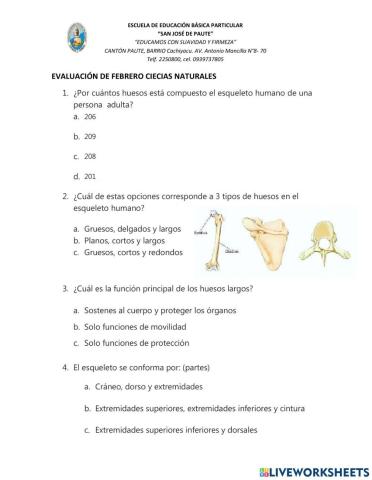 Huesos del cuerpo humano