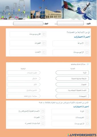 النقل غير النشط