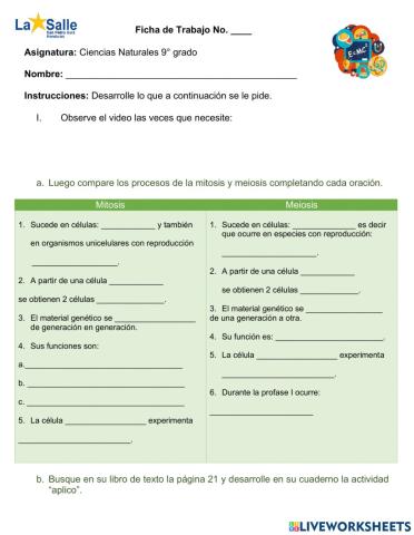 Comparación mitosis- meiosis