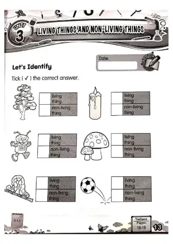 Living things and non-living things