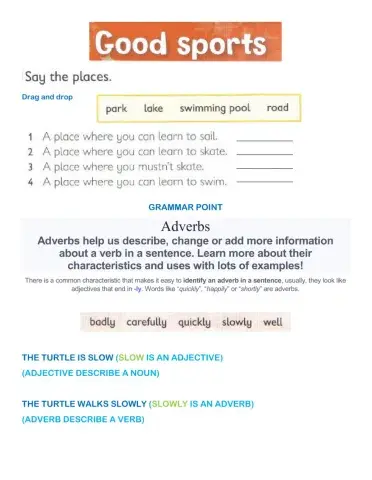 Good sports - unit 2