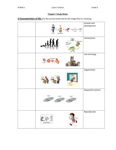 Classification of Life