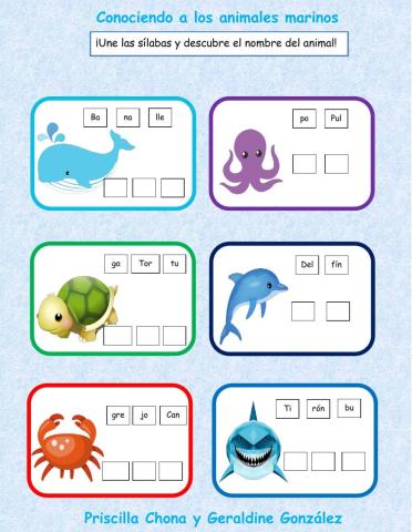 Conociendo a los animales marinos.