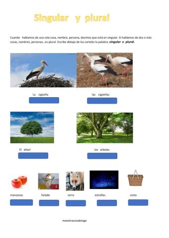 Singular y plural