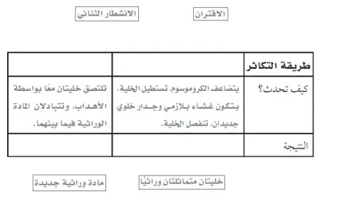 التكاثر في البكتيريا
