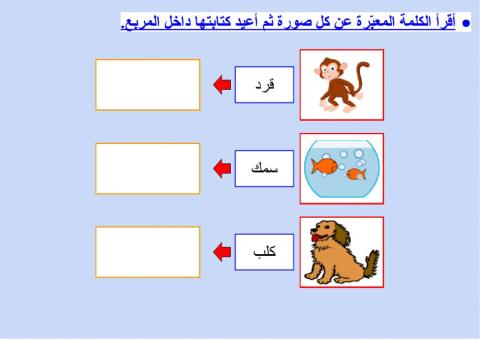 تدريب على كتابة كلمات ثلاثية - ٢