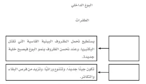 بقاء البكتيريا