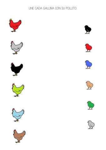 Une cada gallina con su pollito