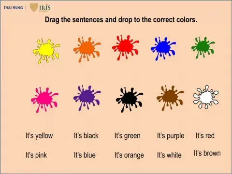 English for Fun (Sunny Class)