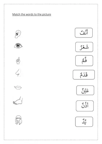 Body part in Arabic