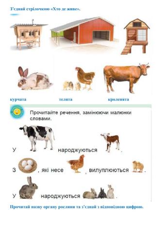 Світ, який мене оточує