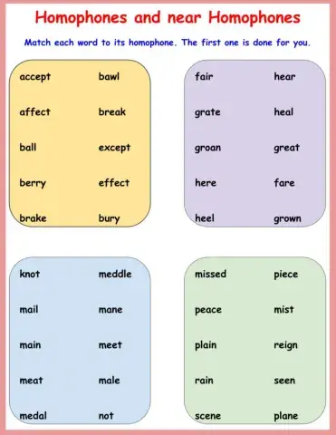 Homophones Matching Activity 1