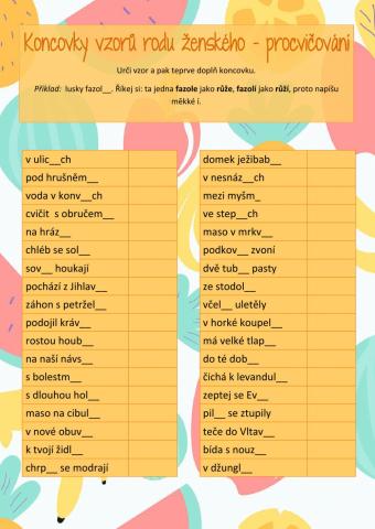 Koncovky - vzory ženského rodu - procvičování