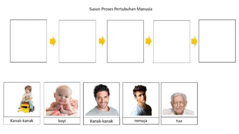 Kemahiran meningkatkan perkembangan fizikal