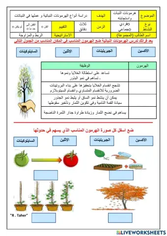 ورقة عمل الهرمونات النباتية