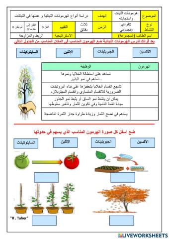 ورقة عمل الهرمونات النباتية