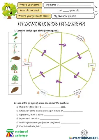 Flowering plants reproduction