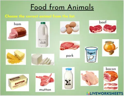 Food From Animals