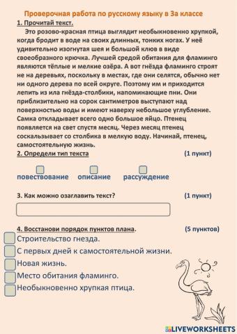 Проверочная работа по русскому языку