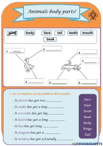 Animals. Body parts