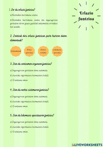 Erlazio funtzioa