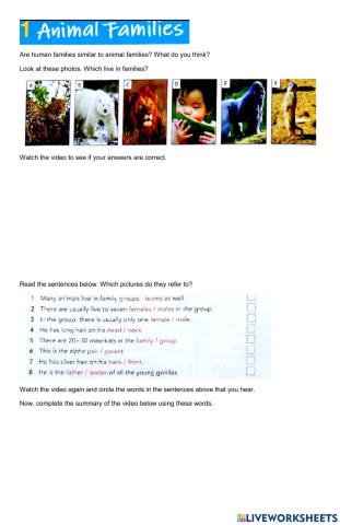 Video activity: Animal families