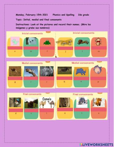 Initial, medial and final consonants