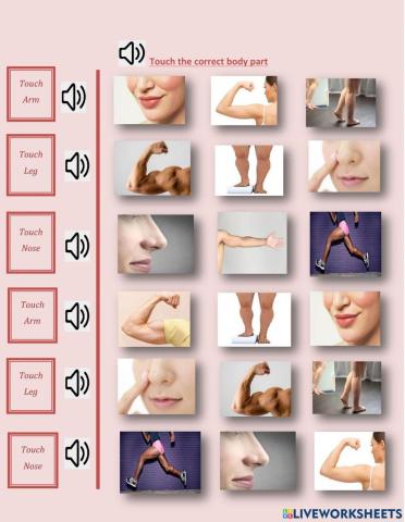 Body parts - leg, arm and nose - 1.02 - George