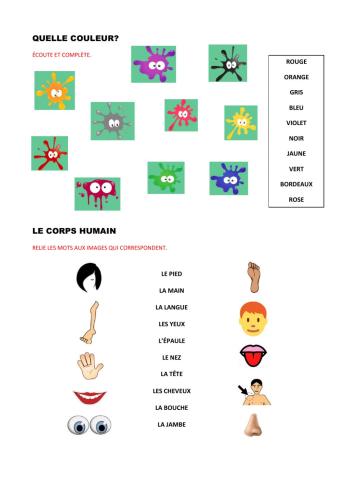 Couleurs Corps Humain