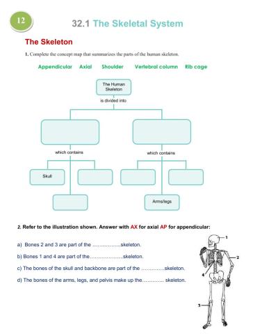 Skeletal system
