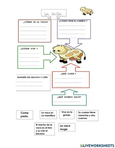 Describiendo un animal