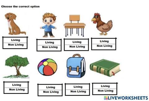 Living - Non Living Thing