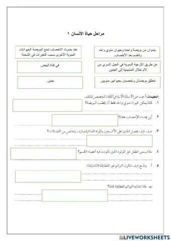 1مراحل حياة الأنسان