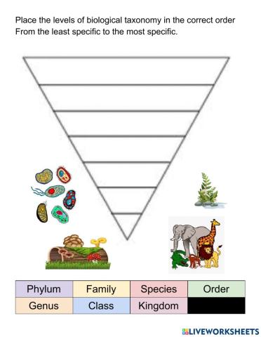 Biological Taxonomy