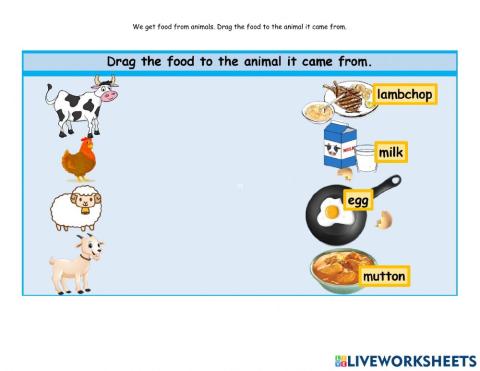 We Get Food From Animals