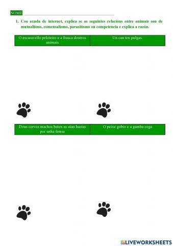 Adiviña as relacións!