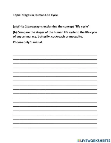 Stages in Human Life Cycle