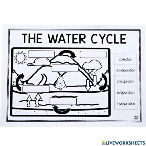 The water-cycle
