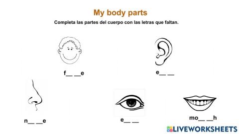 Body Parts face