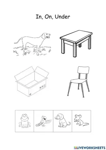 Prepositions In On Under
