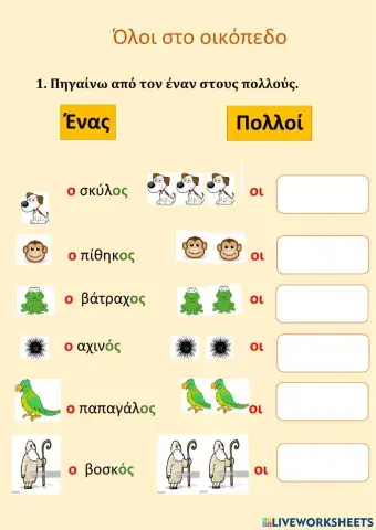 Όλοι στο οικόπεδο