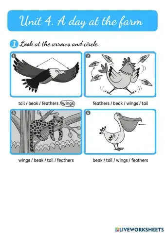 Unit 4. a day at the farm 2